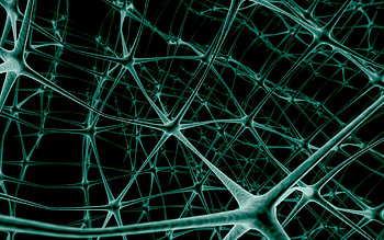 Spider Web 705019 HD wallpaper