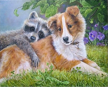 Pals, dog, animals, collie, raccoon, flowers, grass, tree HD wallpaper