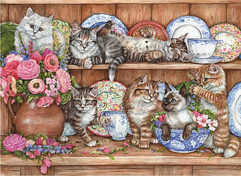 Cats, shelves, pisici, art, flower, cat HD wallpaper