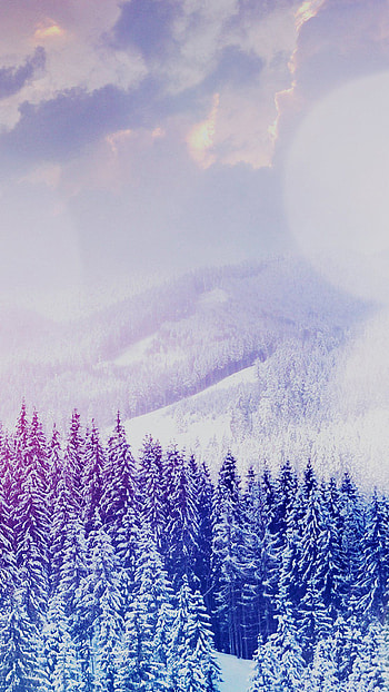 Winter , Scenic winter views, Snowy landscapes, Cold beauty HD phone wallpaper