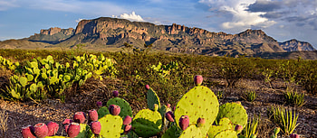 Chisos Mountains, Texas HD wallpaper