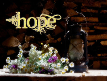 Hope~, god, jesus, holy spirit, bible, still life, light, hope, flowers, scriptures, bible verses HD wallpaper