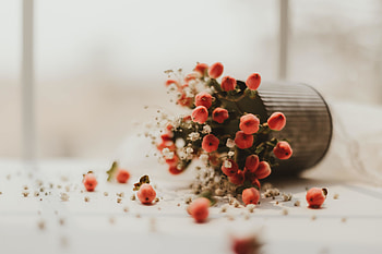 Flower basket, bloom, flowers, nature HD wallpaper