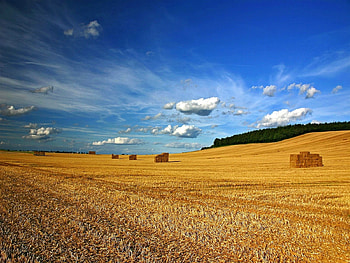 Landscape, Nature, Fields, Sky, Clouds HD wallpaper