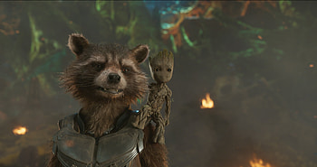 Groot and Rocket raccoon, , Marvel character, Background HD wallpaper