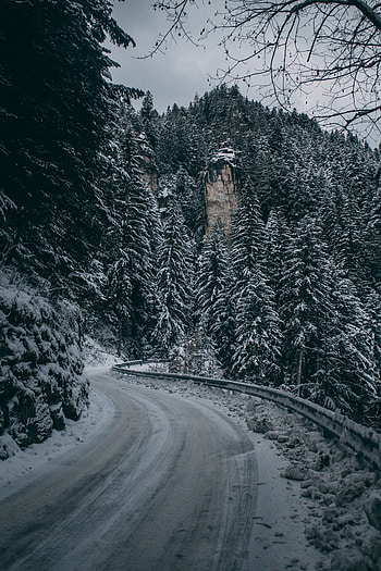 Winter, Nature, Snow, Mountain, Road, Turn, Branches HD phone wallpaper