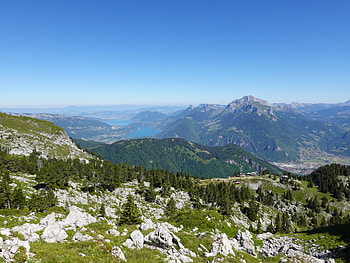 Landscape, Nature, Trees, Stones, Mountains, Horizon, Lake, View HD wallpaper