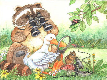 By Wendy Edelson, animal, wendy edelson, duck, grass, bee, bear, flower, nature, squirrel HD wallpaper