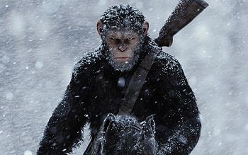 Movie, War For The Planet Of The Apes HD wallpaper