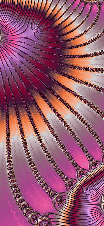 Pink peacock, fractal, pattern, abstract HD phone wallpaper