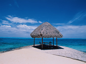 beach house , house, beach HD wallpaper