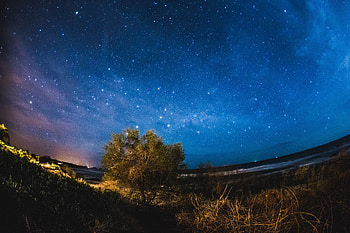 Nature, Night, Wood, Tree, Starry Sky HD wallpaper