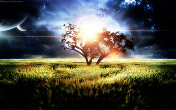 Into the field, planets, fields, sky, sun, sunset HD wallpaper