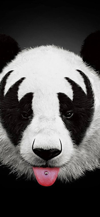 Panda artwork, XS , resolution, Exquisite beauty HD phone wallpaper