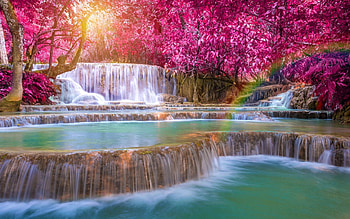 Waterfall, Nature, , Rainbow, Tree, Waterfalls HD wallpaper