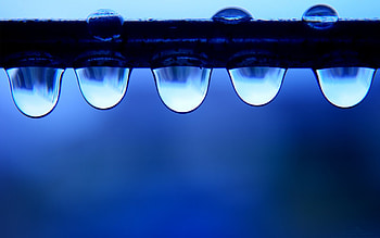 Blue lovers , abstract, 3d HD wallpaper
