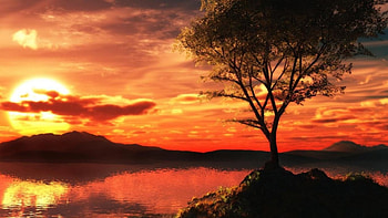 Golden Sunset, island, river, sun, tree HD wallpaper