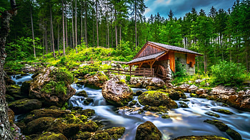 Black Brook Creek, Golling, Austria, trees, forest, Rocks, cabin, water HD wallpaper