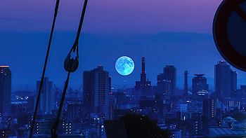 Blue Moon, moon, evening, night, graphy HD wallpaper