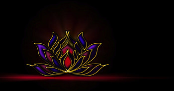 Lotus, blue, purple, pink, yellow, flower, red HD wallpaper