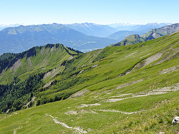 Landscape, Nature, Trees, Mountains, Mountain Range, Slope HD wallpaper