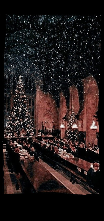 Harry Potter Christmas, ornament, tints and shades HD phone wallpaper