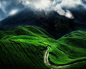 A ROAD LESS TRAVELED, windy, rain, approaching, storm HD wallpaper
