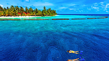 snorkeling in a tropical sea in the maldives, palms, sea, swimmers, island, wave breakers, beach HD wallpaper