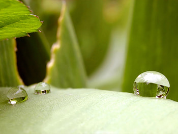 Background, Drops HD wallpaper