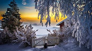Sunset behind the house, winter, snow, fence, colors, trees, landscape, sky HD wallpaper