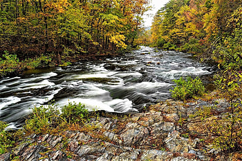 River Ohio, USA, Ohio, autumn, river HD wallpaper