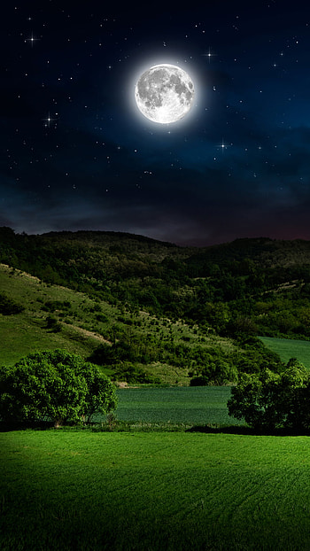 Full Moon and Starry Sky over Green Field, nature, moon HD phone wallpaper