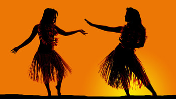 Luau Lesson, Cultural experience, Traditional dance, Authentic celebration HD wallpaper