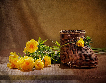 Still Life, baby boot, pretty, yellow, cute, flowers HD wallpaper