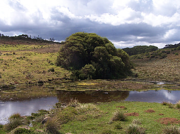 Nairobi National Park, landscape, kenya, game rserve HD wallpaper