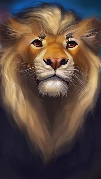 Black Lion, Colorful Background HD phone wallpaper