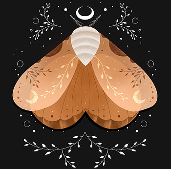 Moon moth, brown, black, butterfly, moon, luna, moth, sofi ruby HD wallpaper