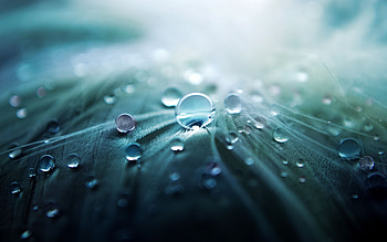 Background, Drops HD wallpaper