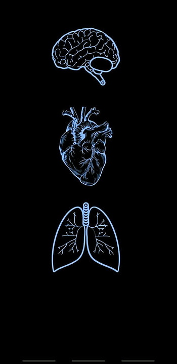 Medical school life ideas in 2022, Medicine Aesthetic HD phone wallpaper
