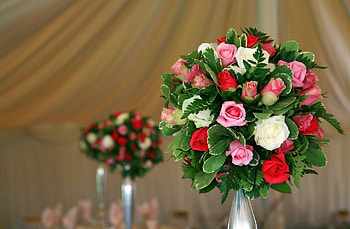 Flowers, Roses, Typography, Registration, Bouquet, Decoration HD wallpaper