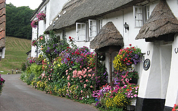 cottage surrounded with flowers, flowers, cottage, house, england HD wallpaper