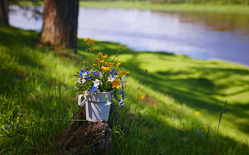 Lovely Flowers , bouquet, graphy, beautiful, grass, lake, summer, flower, nature, flowers, lovely HD wallpaper