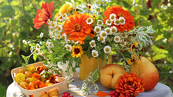 Summer garden, Flowers, Fruits, Bouquet, Table HD wallpaper