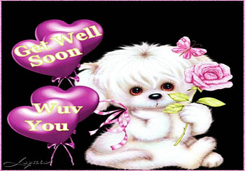 Get Well Soon, dog, puppy, butterfly, heart balloons, flowers, get well HD wallpaper