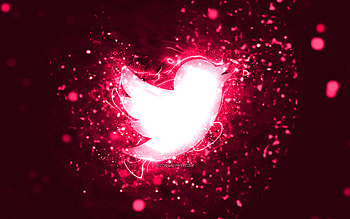 Twitter pink logo, , pink neon lights, creative, pink abstract background, Twitter logo, social network, Twitter HD wallpaper