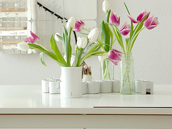 An angle of sweetness, purple, still life, pink, angle, house, sweetness, tulips, lovely HD wallpaper