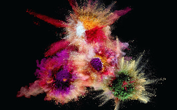 Powder, Colorful explosion, , Abstract art HD wallpaper