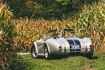 Auto, Cobra, Cars, Back View, Rear View, Shelby HD wallpaper