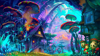 Shrooms-1920-x-1080--wp6409386 HD wallpaper