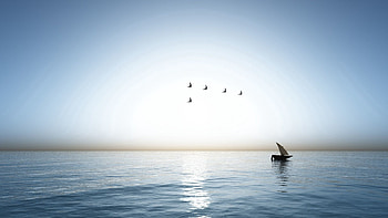 Nature, Birds, Sea, Flight, Ship, Nautilus, Wedge HD wallpaper